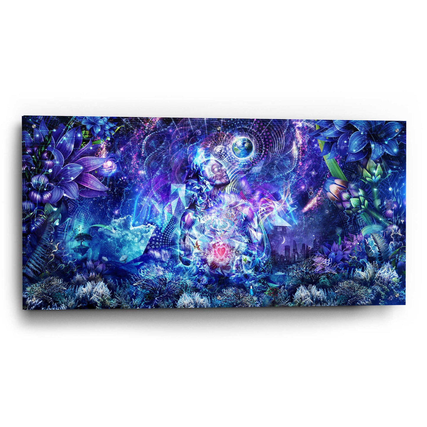 Epic Art 'Transcension' by Cameron Gray, Acrylic Glass Wall Art,48x24