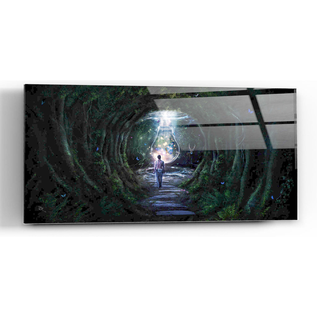 Epic Art 'Stay For A Moment' by Cameron Gray, Acrylic Glass Wall Art,24x12