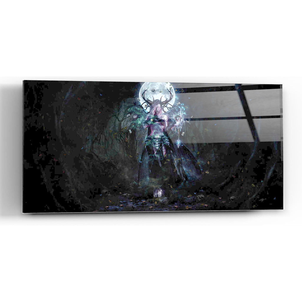 Epic Art 'The Dreamcatcher Landscape' by Cameron Gray, Acrylic Glass Wall Art,48x24