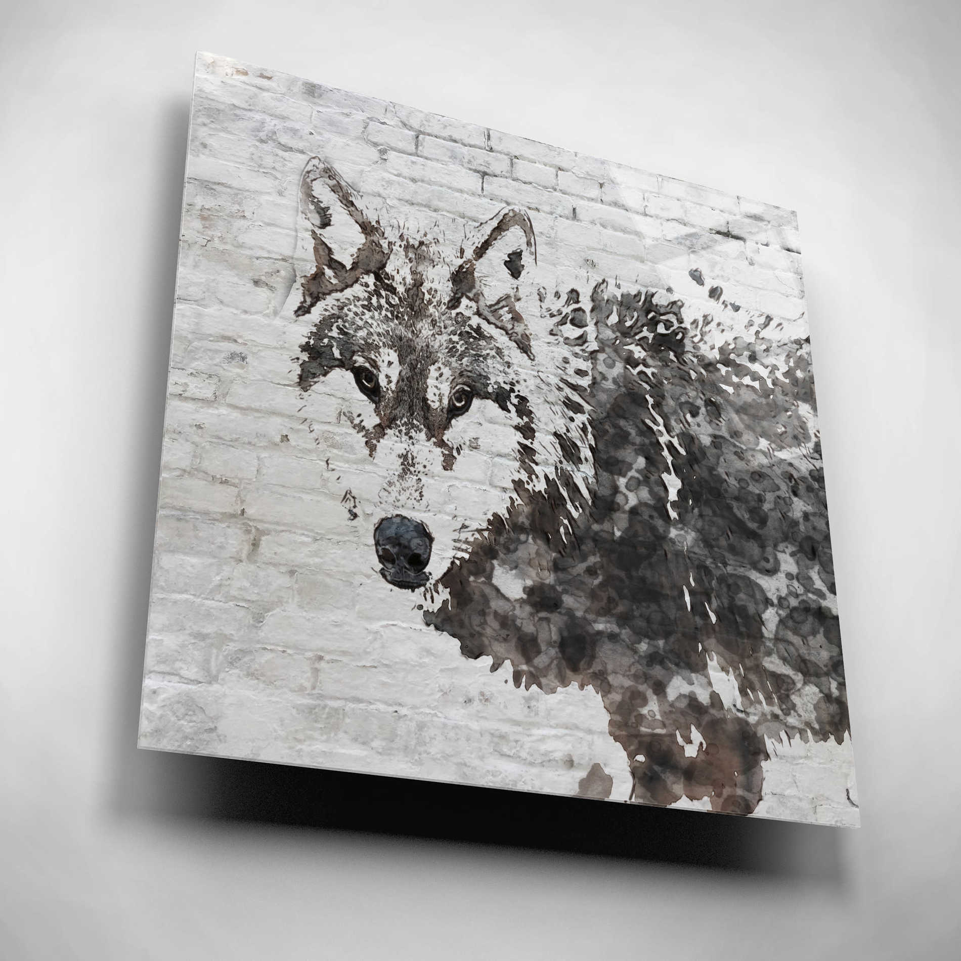 Epic Art 'Lone Wolf' by Irena Orlov,  Acrylic Glass Wall Art,12x12