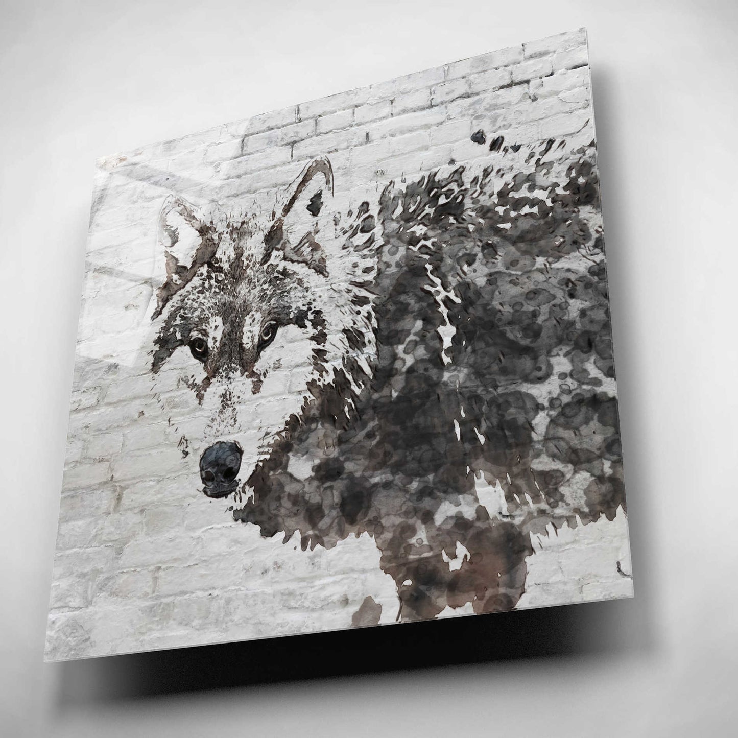 Epic Art 'Lone Wolf' by Irena Orlov,  Acrylic Glass Wall Art,12x12