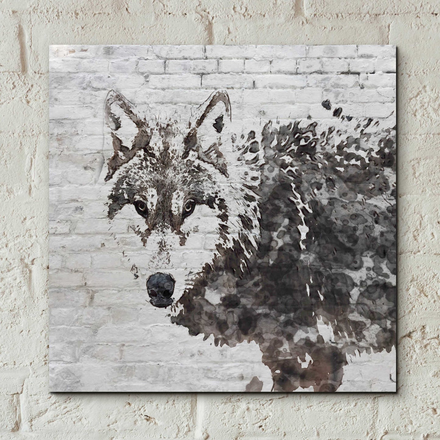 Epic Art 'Lone Wolf' by Irena Orlov,  Acrylic Glass Wall Art,12x12