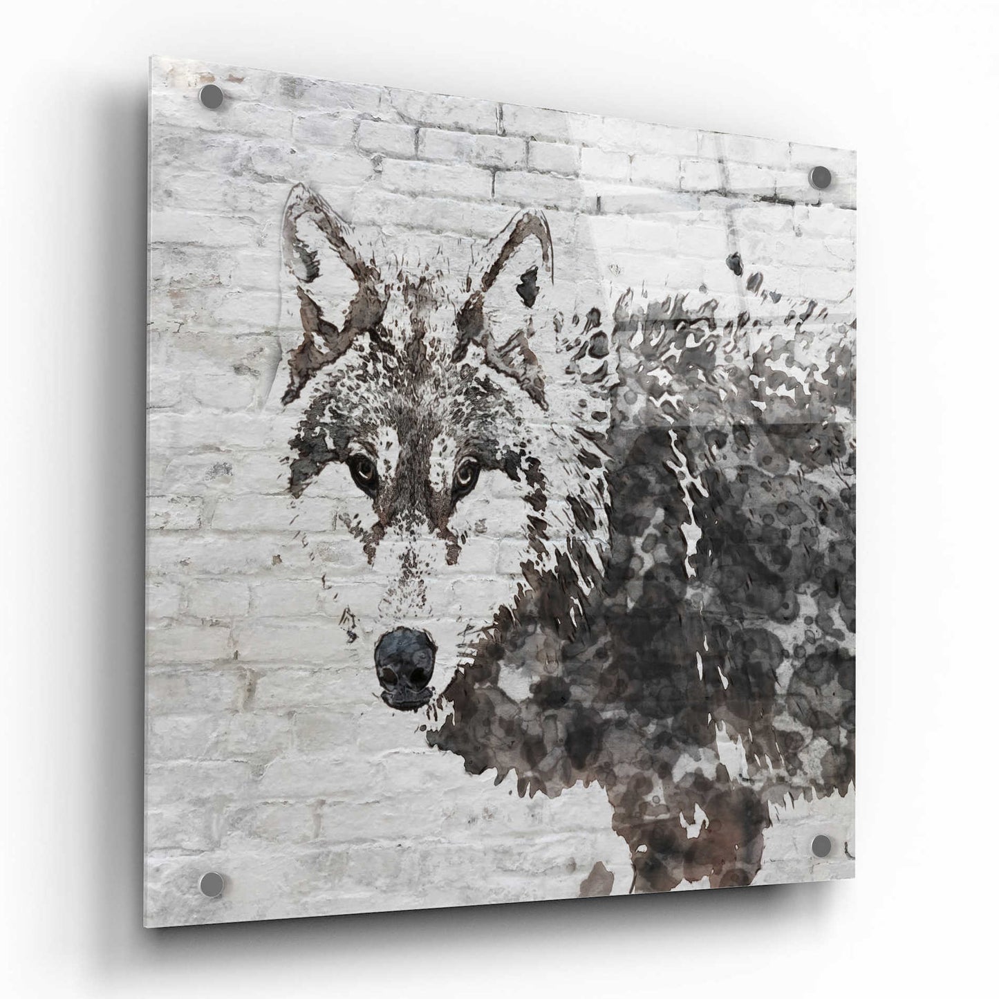 Epic Art 'Lone Wolf' by Irena Orlov,  Acrylic Glass Wall Art,36x36
