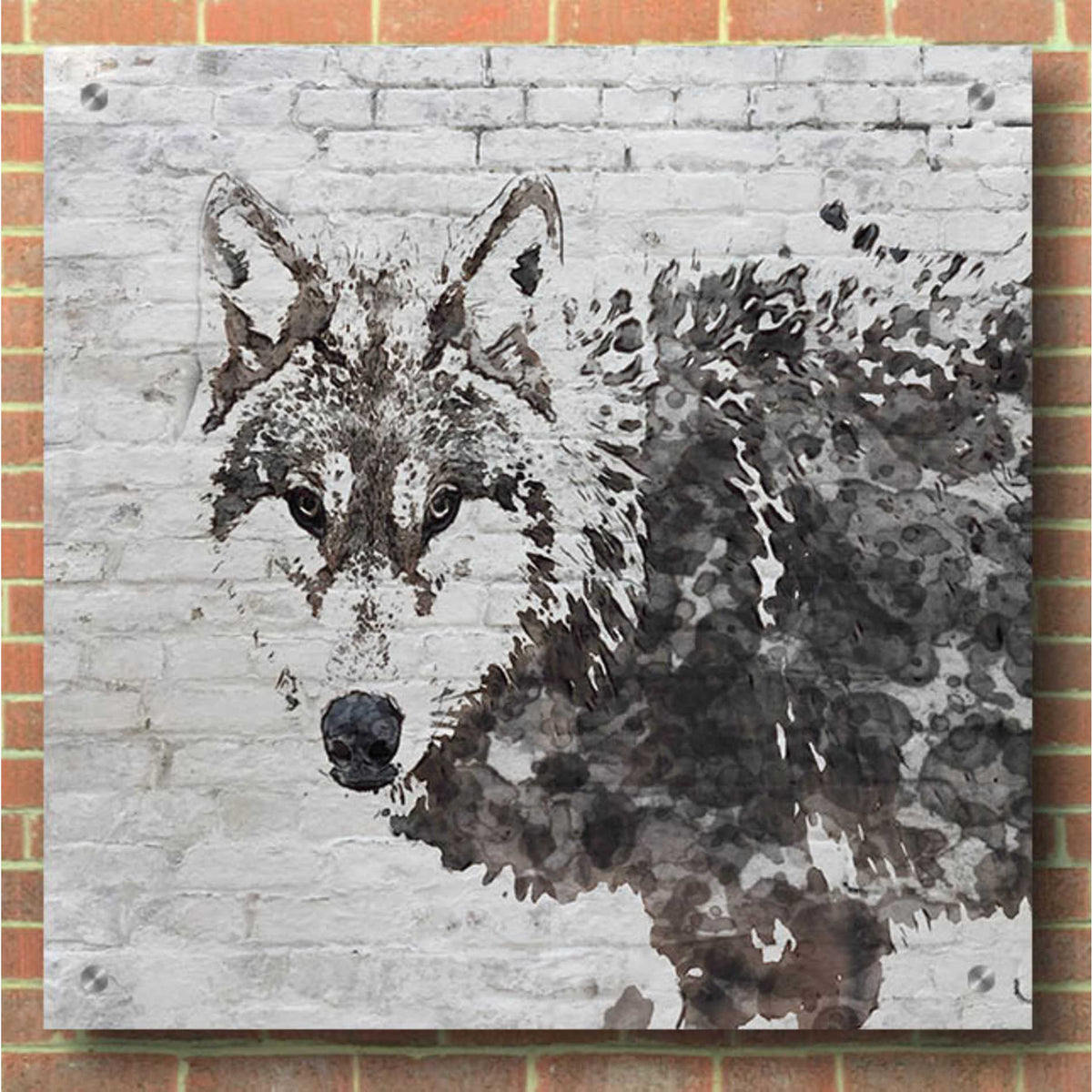 Epic Art 'Lone Wolf' by Irena Orlov,  Acrylic Glass Wall Art,36x36