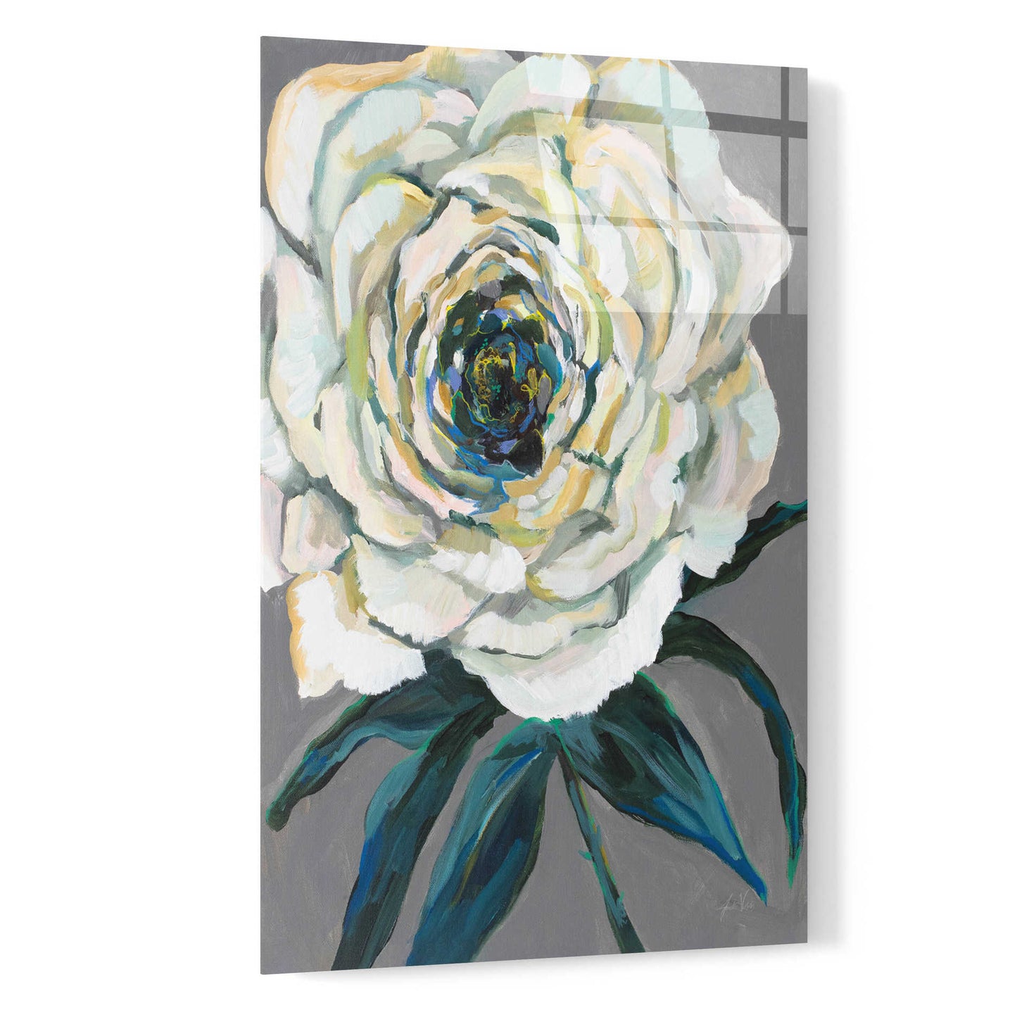 Epic Art 'Rose' by Jeanette Vertentes, Acrylic Glass Wall Art,16x24