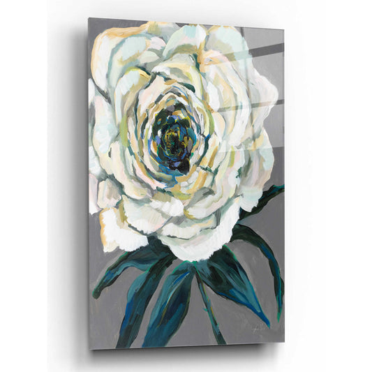 Epic Art 'Rose' by Jeanette Vertentes, Acrylic Glass Wall Art