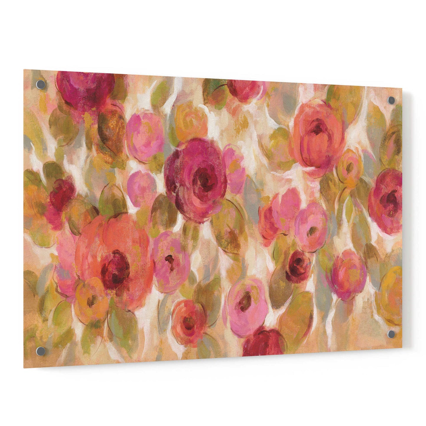 Epic Art 'Glorious Pink Floral I' by Silvia Vassileva, Acrylic Glass Wall Art,36x24