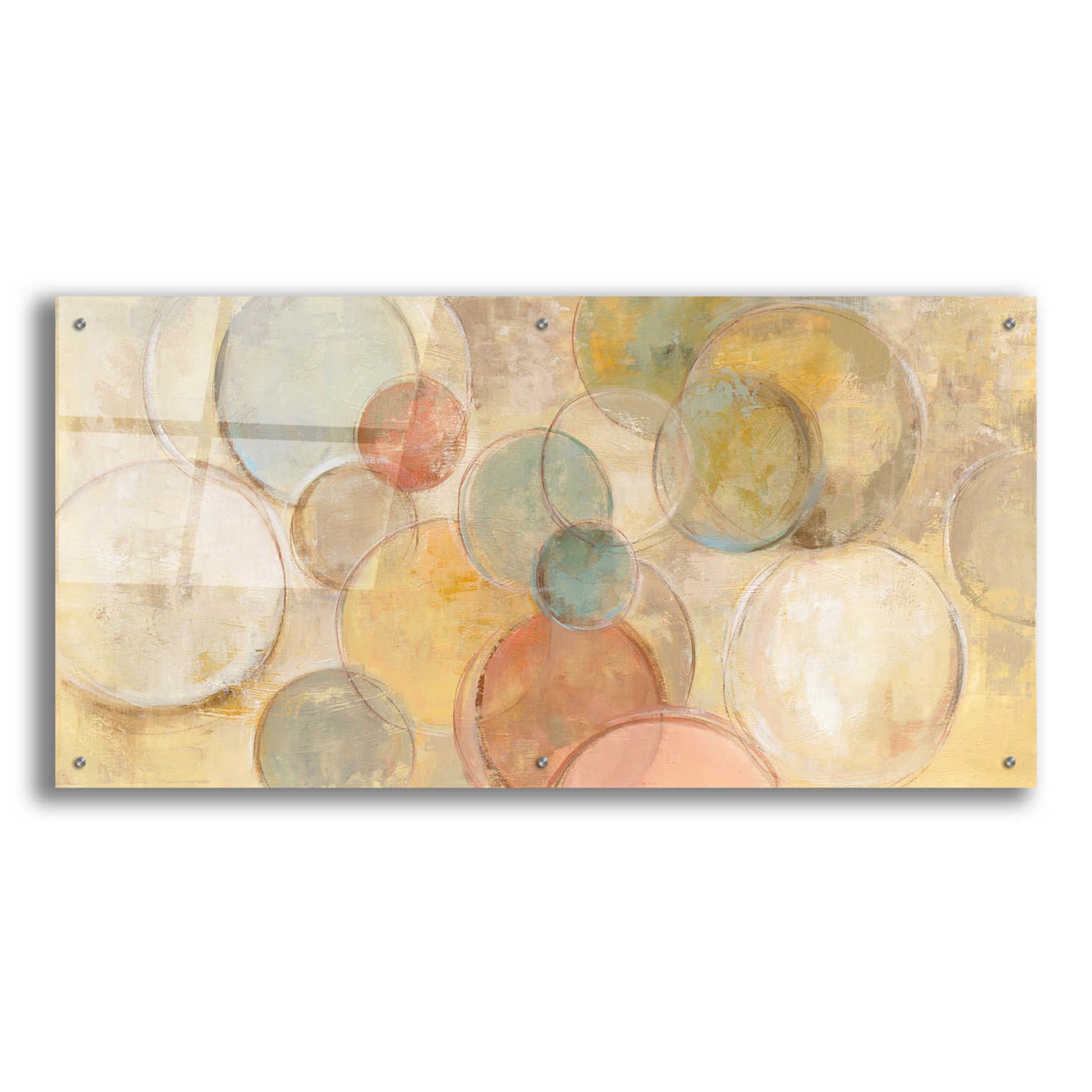 Epic Art 'Fresco Bubbles' by Silvia Vassileva, Acrylic Glass Wall Art,48x24