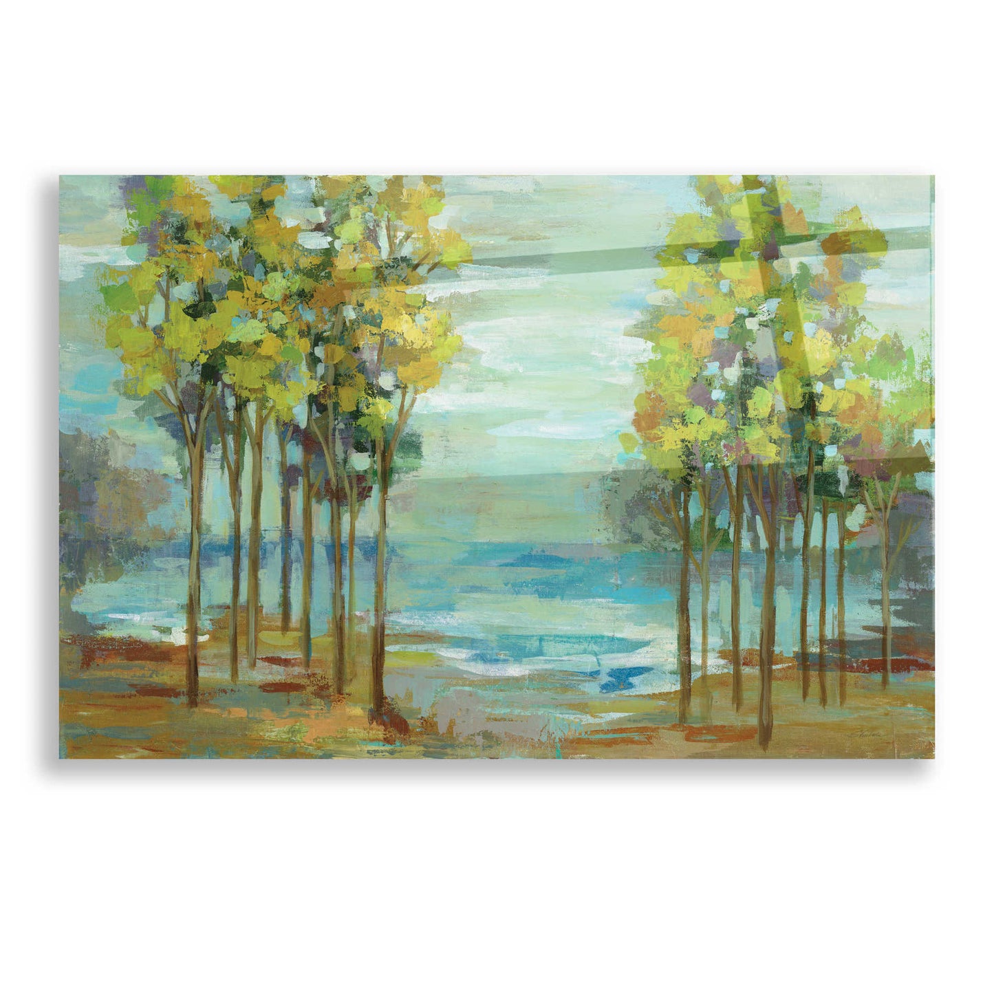 Epic Art 'Spring Trees' by Silvia Vassileva, Acrylic Glass Wall Art,16x12