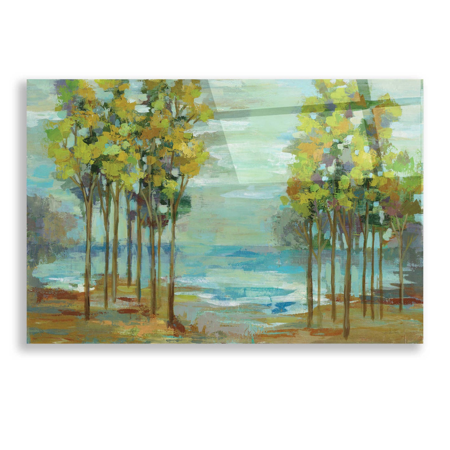 Epic Art 'Spring Trees' by Silvia Vassileva, Acrylic Glass Wall Art,24x16