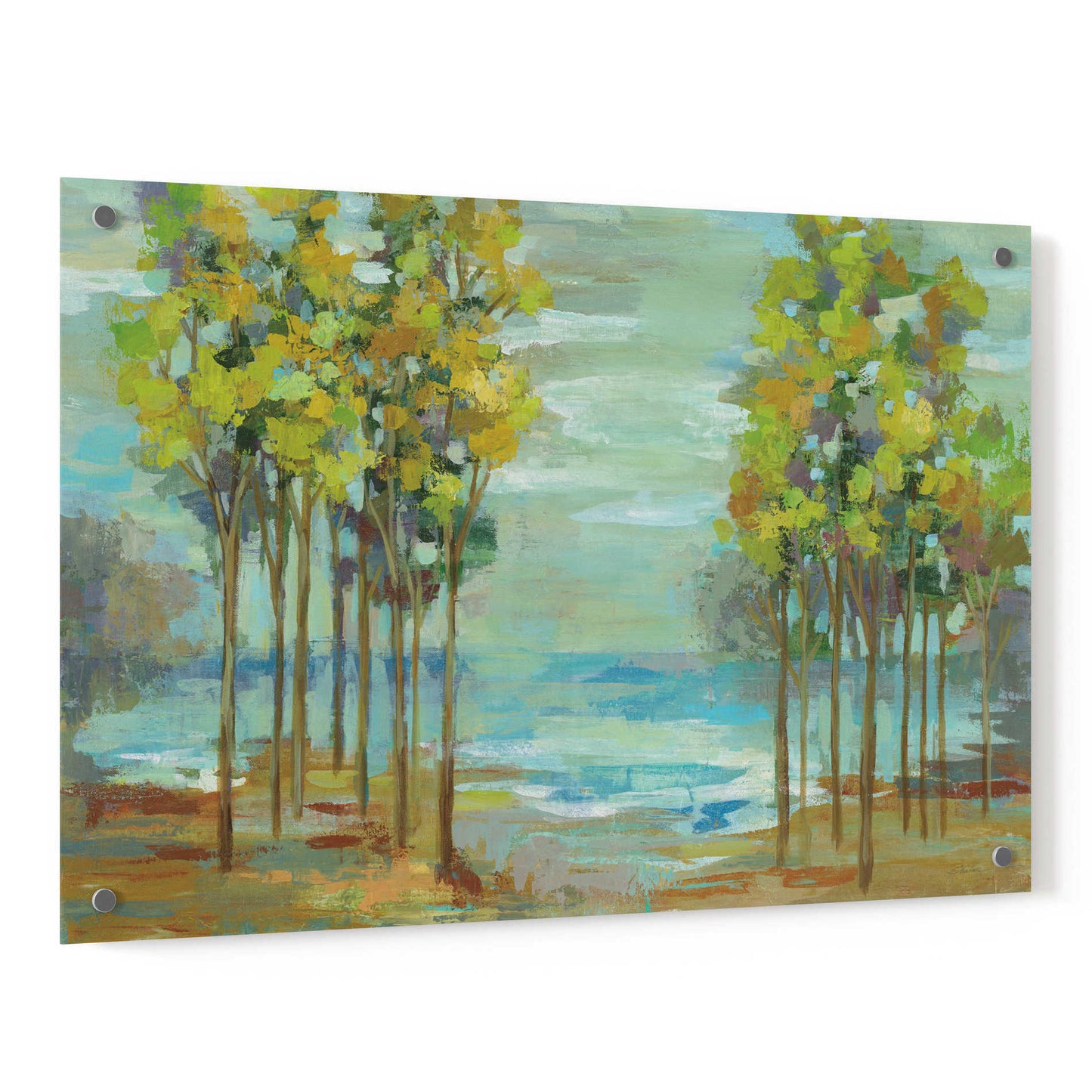 Epic Art 'Spring Trees' by Silvia Vassileva, Acrylic Glass Wall Art,36x24