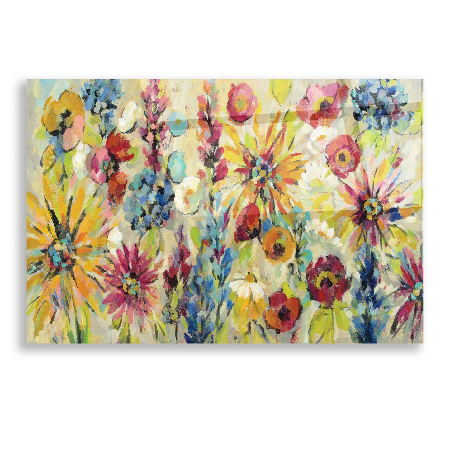 Epic Art 'May Garden' by Silvia Vassileva, Acrylic Glass Wall Art,16x12