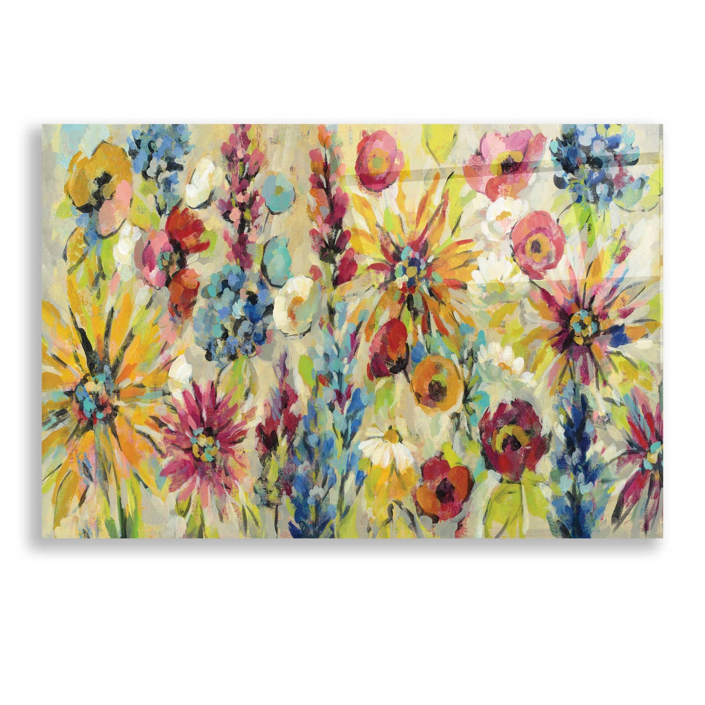 Epic Art 'May Garden' by Silvia Vassileva, Acrylic Glass Wall Art,24x16