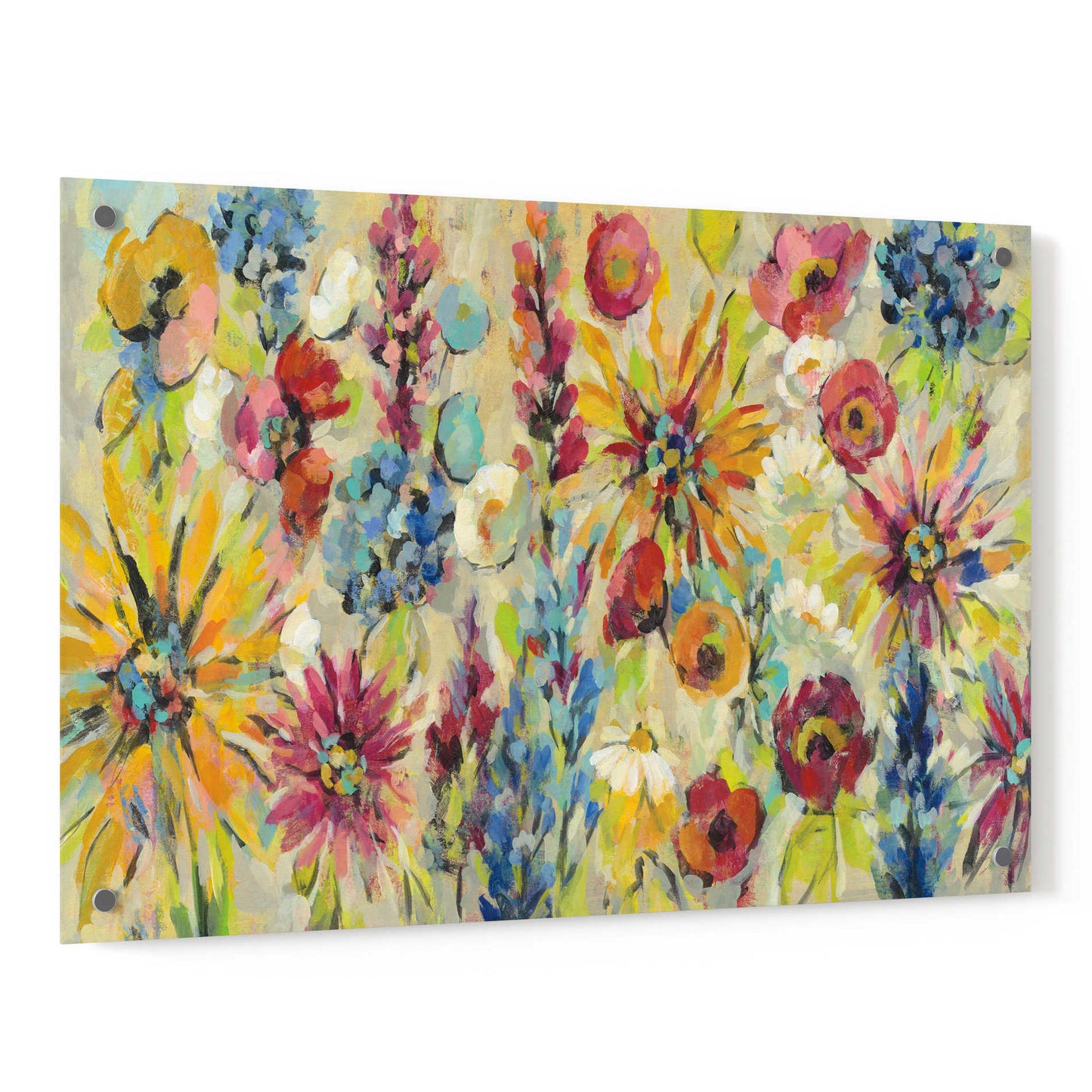 Epic Art 'May Garden' by Silvia Vassileva, Acrylic Glass Wall Art,36x24