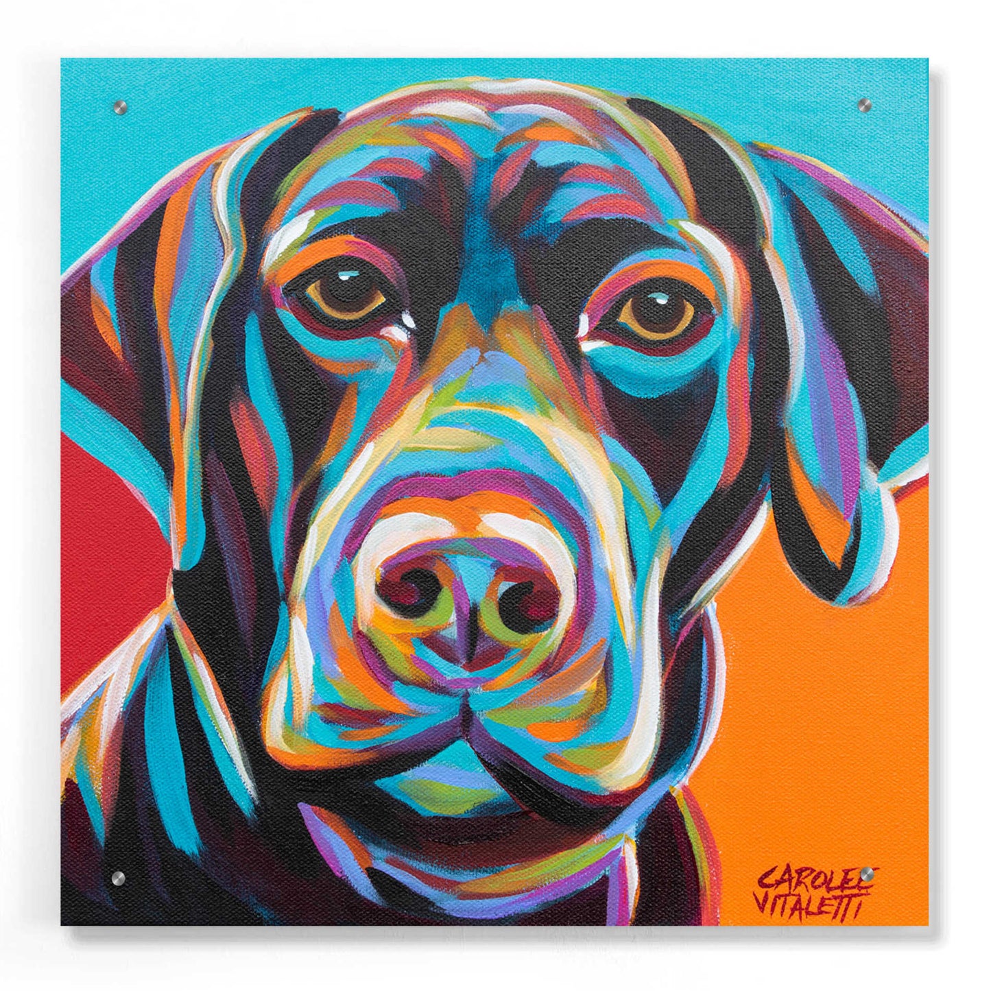 Epic Art 'Dog Friend II' by Carolee Vitaletti, Acrylic Glass Wall Art,24x24