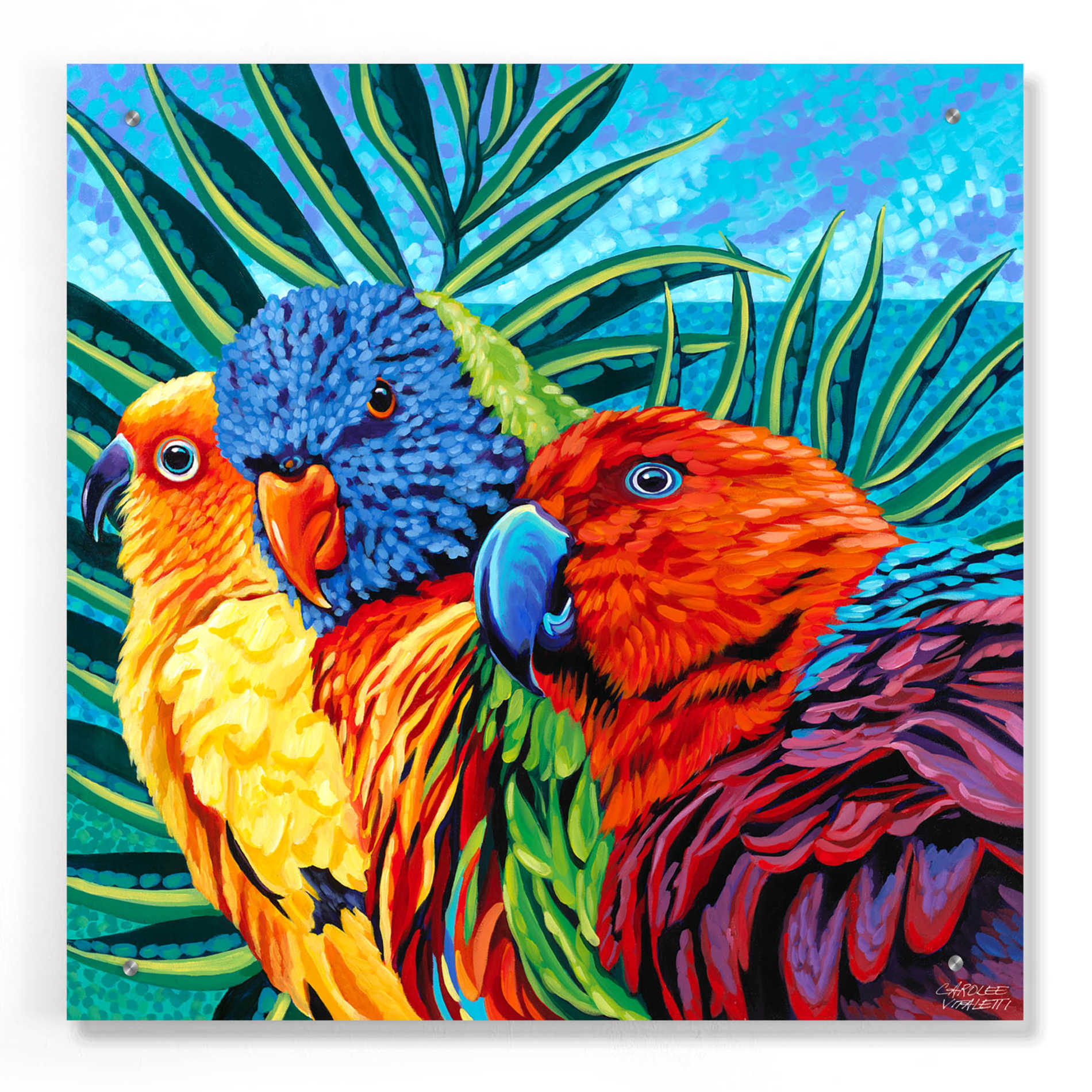 Epic Art 'Birds in Paradise I' by Carolee Vitaletti, Acrylic Glass Wall Art,24x24