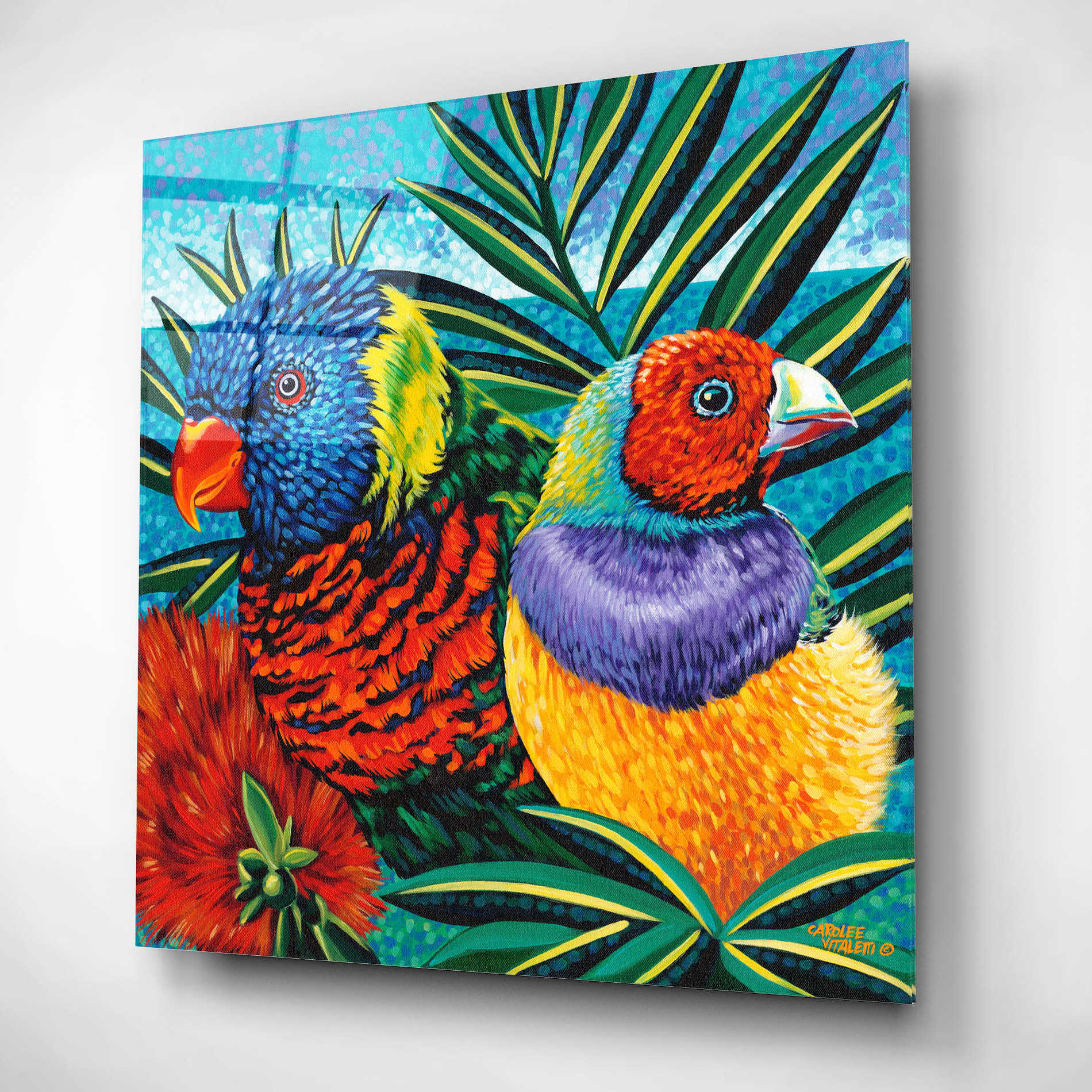 Epic Art 'Birds in Paradise II' by Carolee Vitaletti, Acrylic Glass Wall Art,12x12
