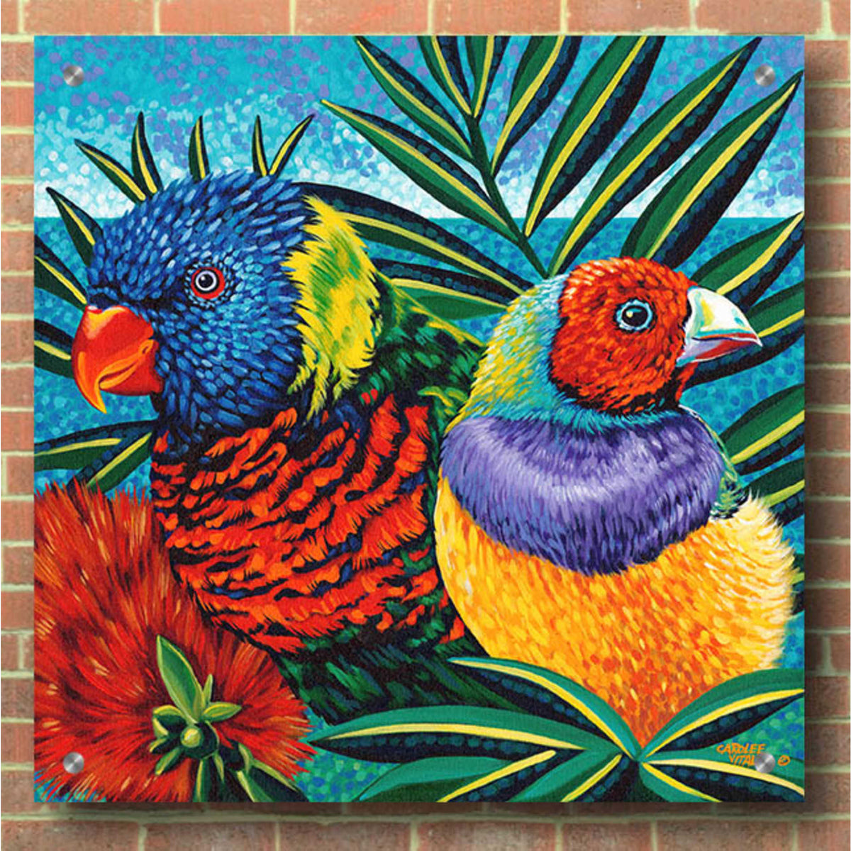 Epic Art 'Birds in Paradise II' by Carolee Vitaletti, Acrylic Glass Wall Art,36x36
