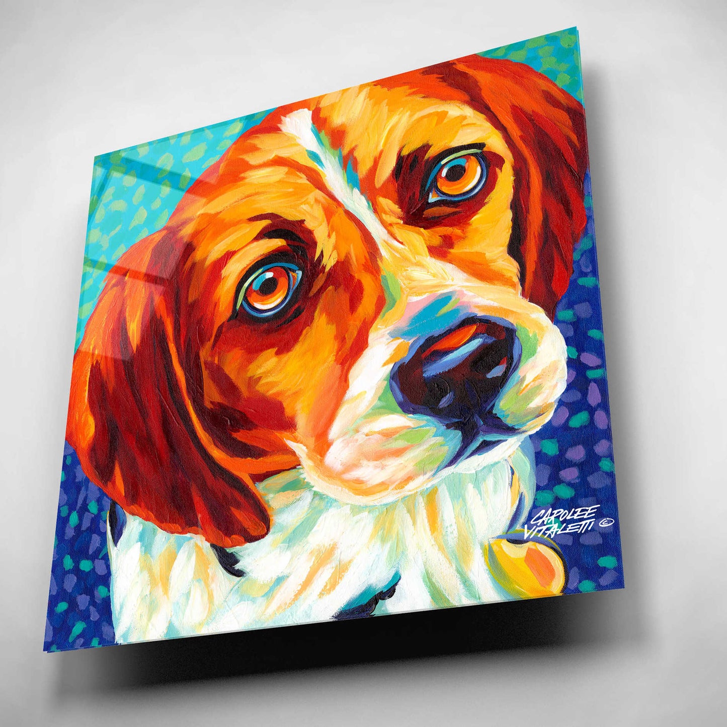 Epic Art 'Dogs in Color II' by Carolee Vitaletti, Acrylic Glass Wall Art,12x12