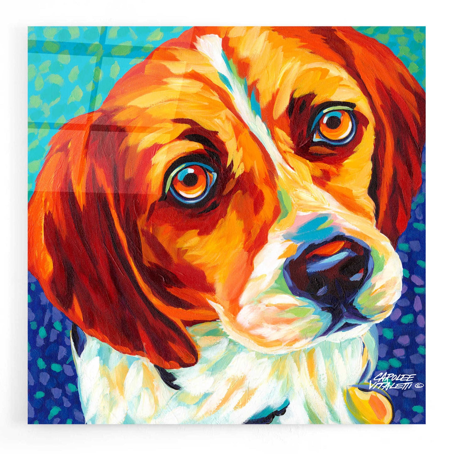 Epic Art 'Dogs in Color II' by Carolee Vitaletti, Acrylic Glass Wall Art,12x12