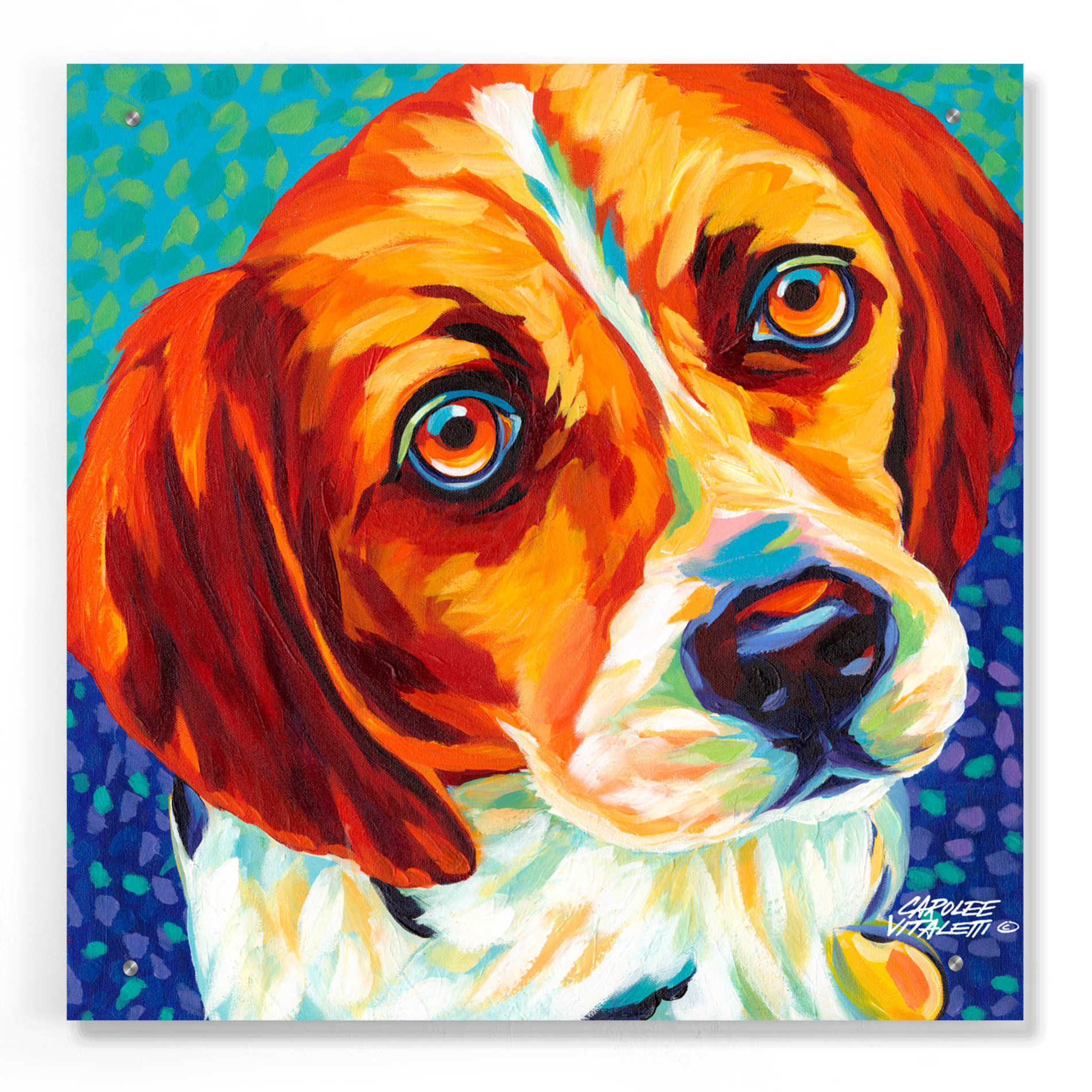 Epic Art 'Dogs in Color II' by Carolee Vitaletti, Acrylic Glass Wall Art,24x24