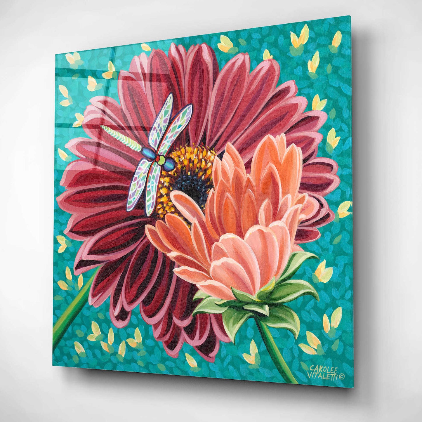 Epic Art 'Dragonfly on Blooms II' by Carolee Vitaletti, Acrylic Glass Wall Art,12x12
