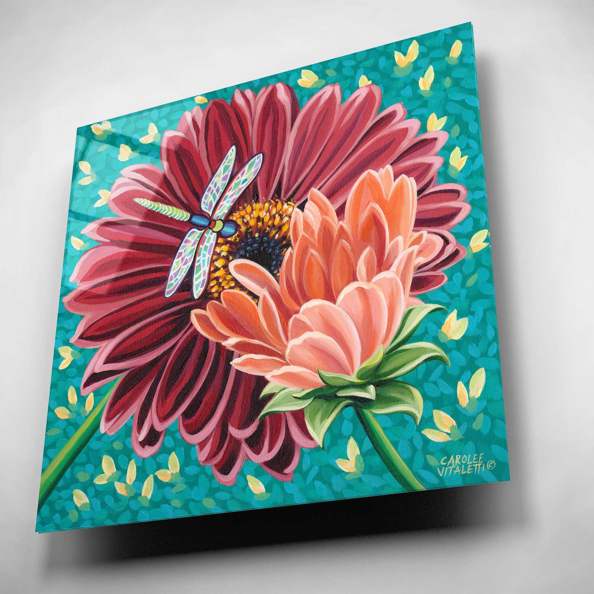 Epic Art 'Dragonfly on Blooms II' by Carolee Vitaletti, Acrylic Glass Wall Art,12x12