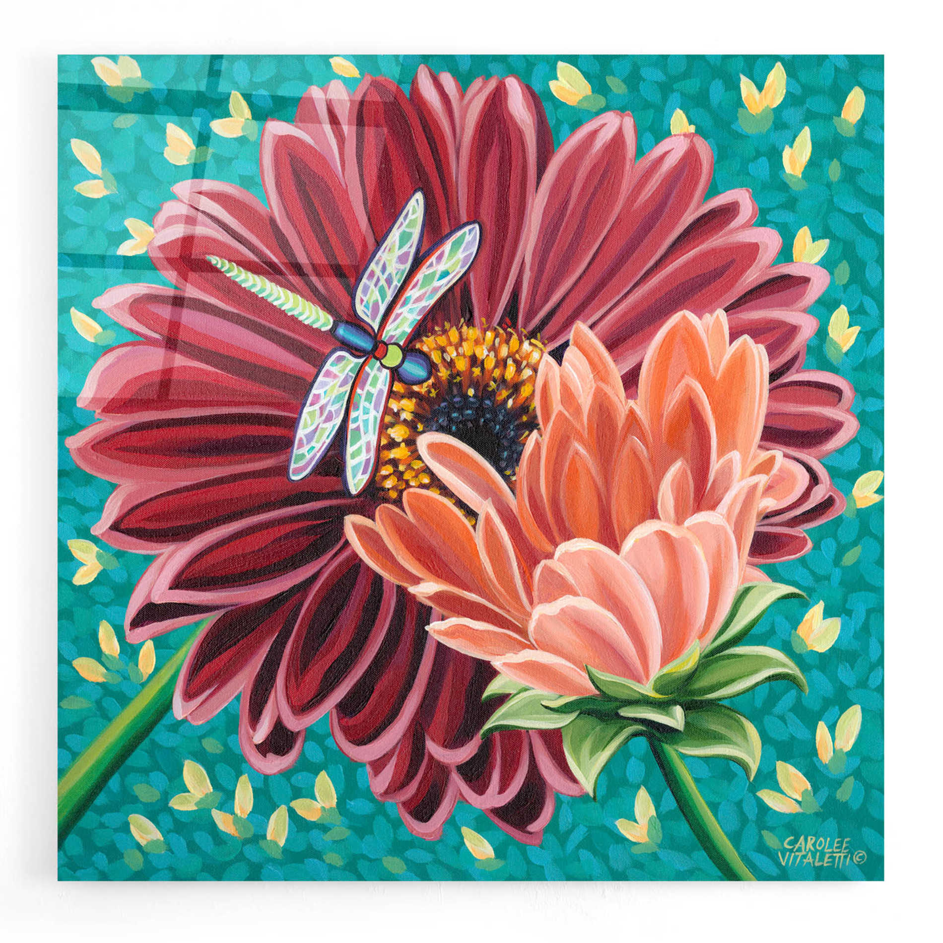 Epic Art 'Dragonfly on Blooms II' by Carolee Vitaletti, Acrylic Glass Wall Art,12x12