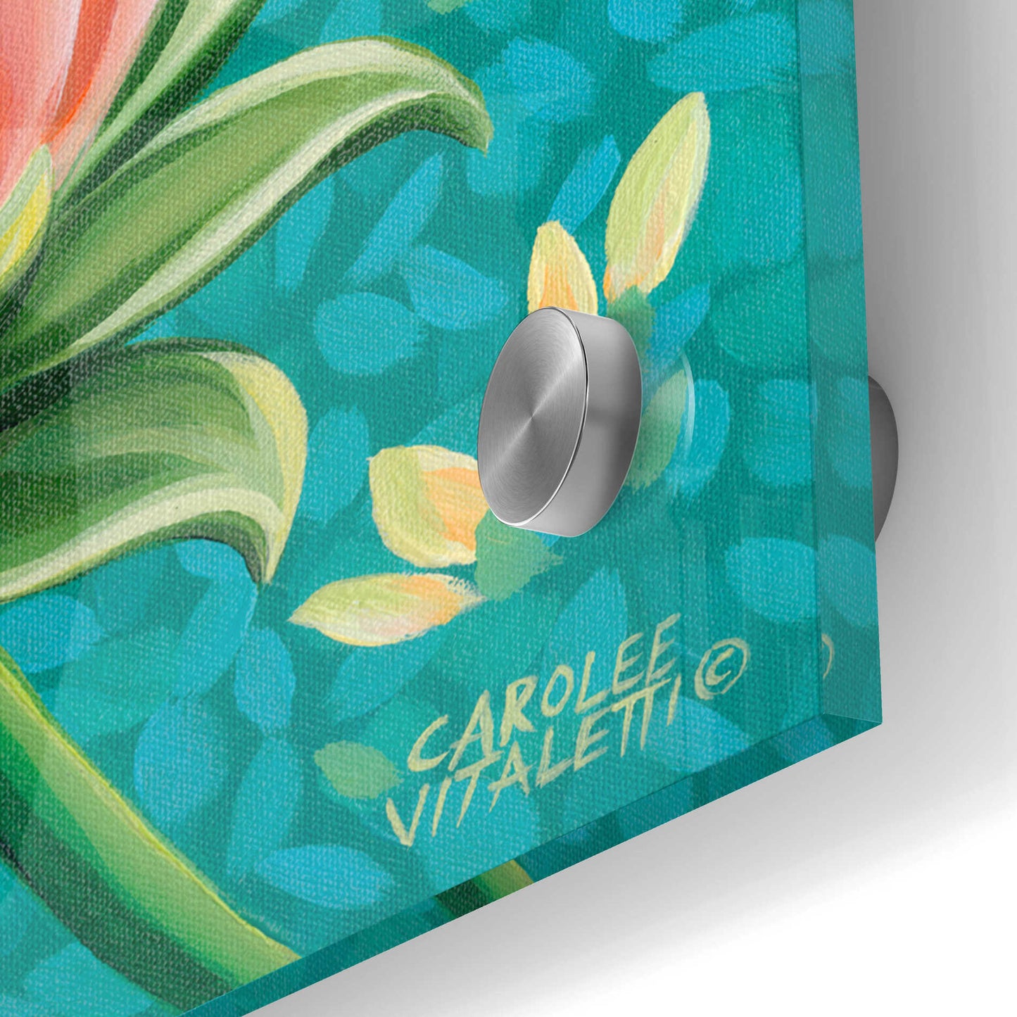 Epic Art 'Dragonfly on Blooms II' by Carolee Vitaletti, Acrylic Glass Wall Art,24x24