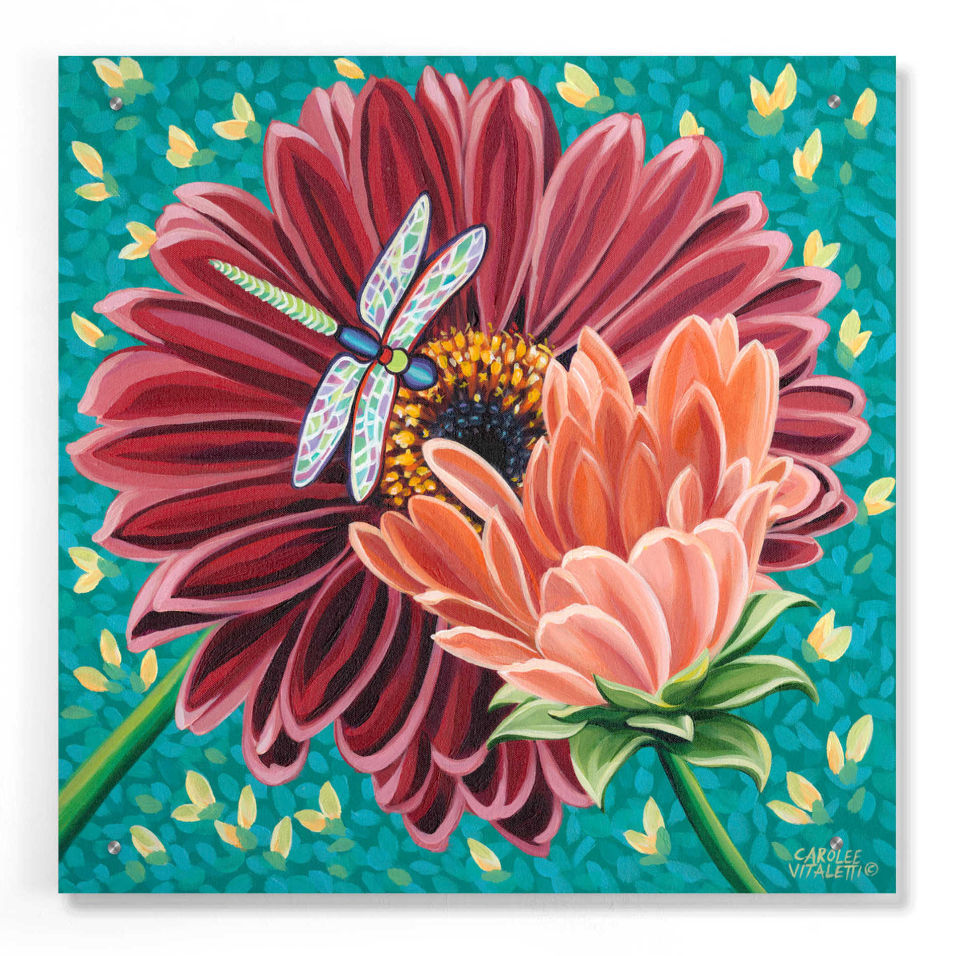 Epic Art 'Dragonfly on Blooms II' by Carolee Vitaletti, Acrylic Glass Wall Art,24x24