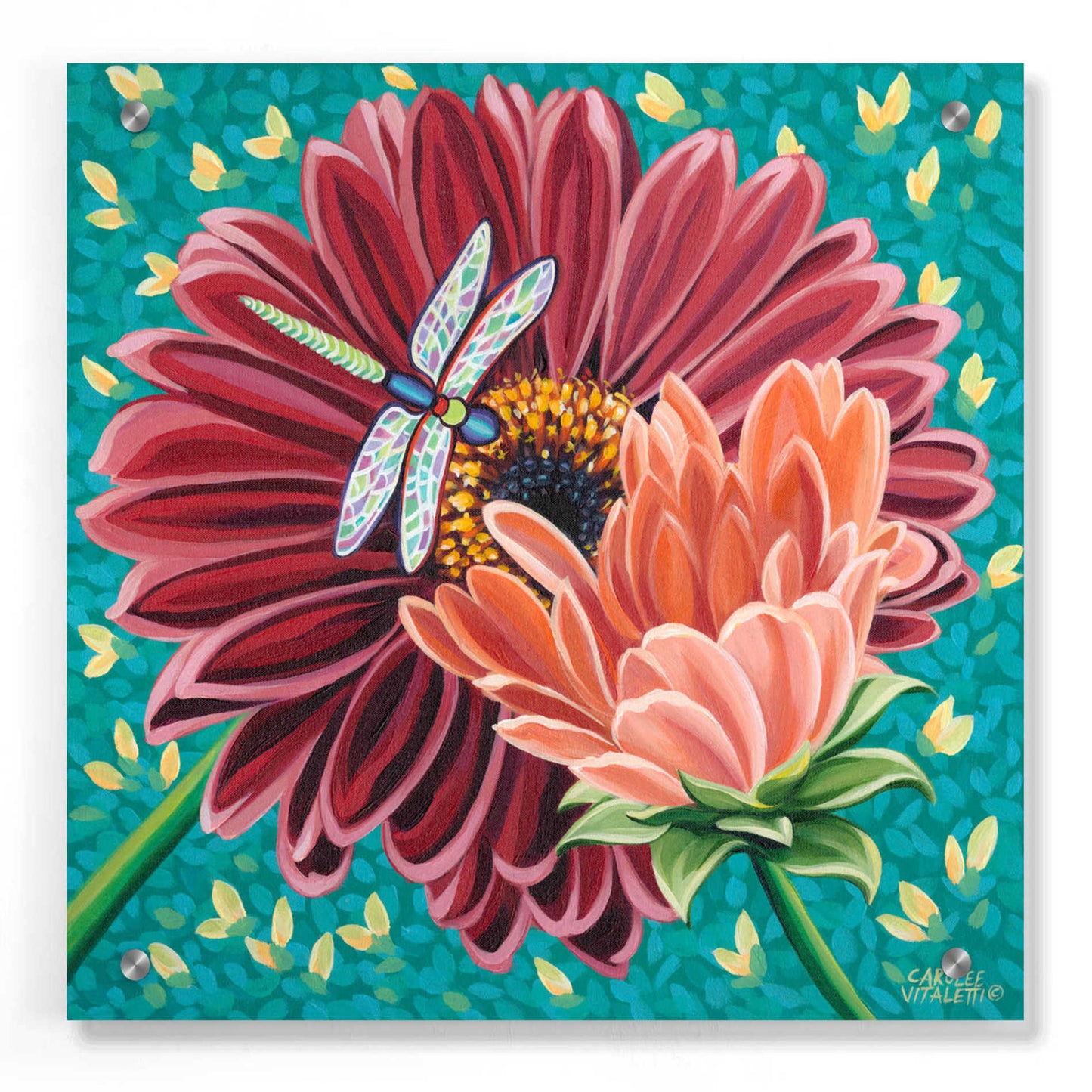 Epic Art 'Dragonfly on Blooms II' by Carolee Vitaletti, Acrylic Glass Wall Art,36x36