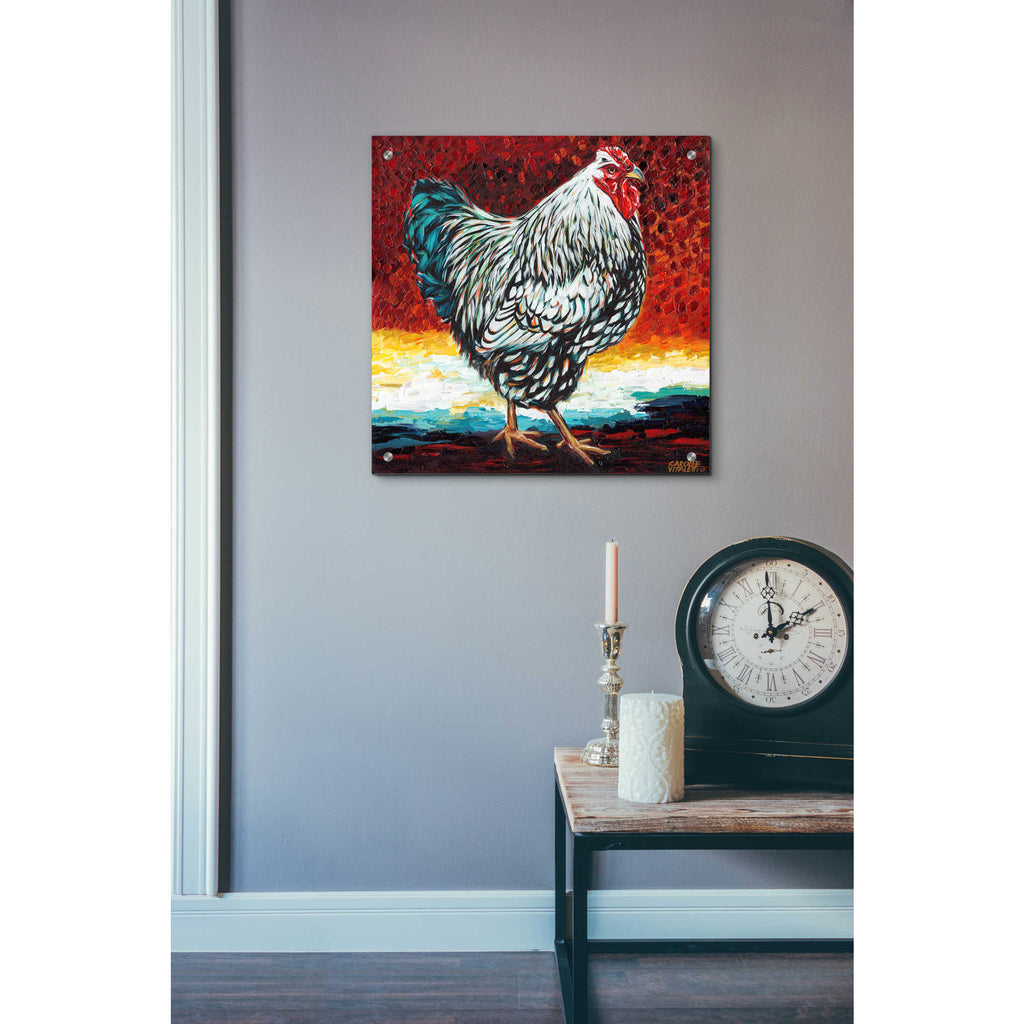 Epic Art 'Fancy Chicken I' by Carolee Vitaletti, Acrylic Glass Wall Art,24x24