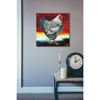 Epic Art 'Fancy Chicken I' by Carolee Vitaletti, Acrylic Glass Wall Art,24x24