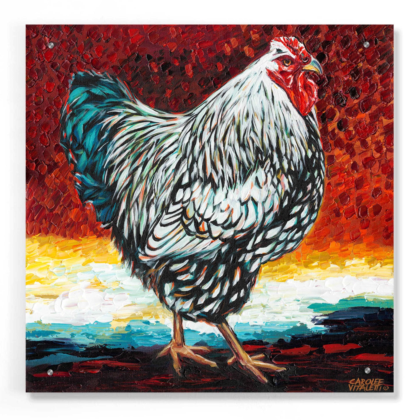 Epic Art 'Fancy Chicken I' by Carolee Vitaletti, Acrylic Glass Wall Art,24x24