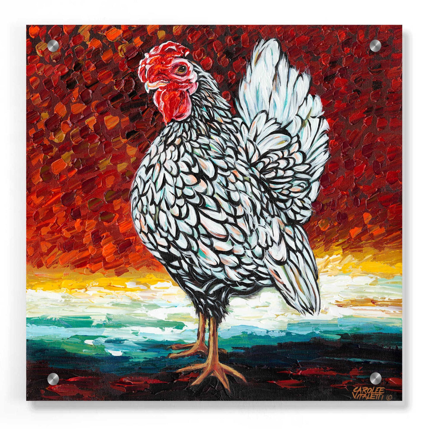 Epic Art 'Fancy Chicken II' by Carolee Vitaletti, Acrylic Glass Wall Art,36x36