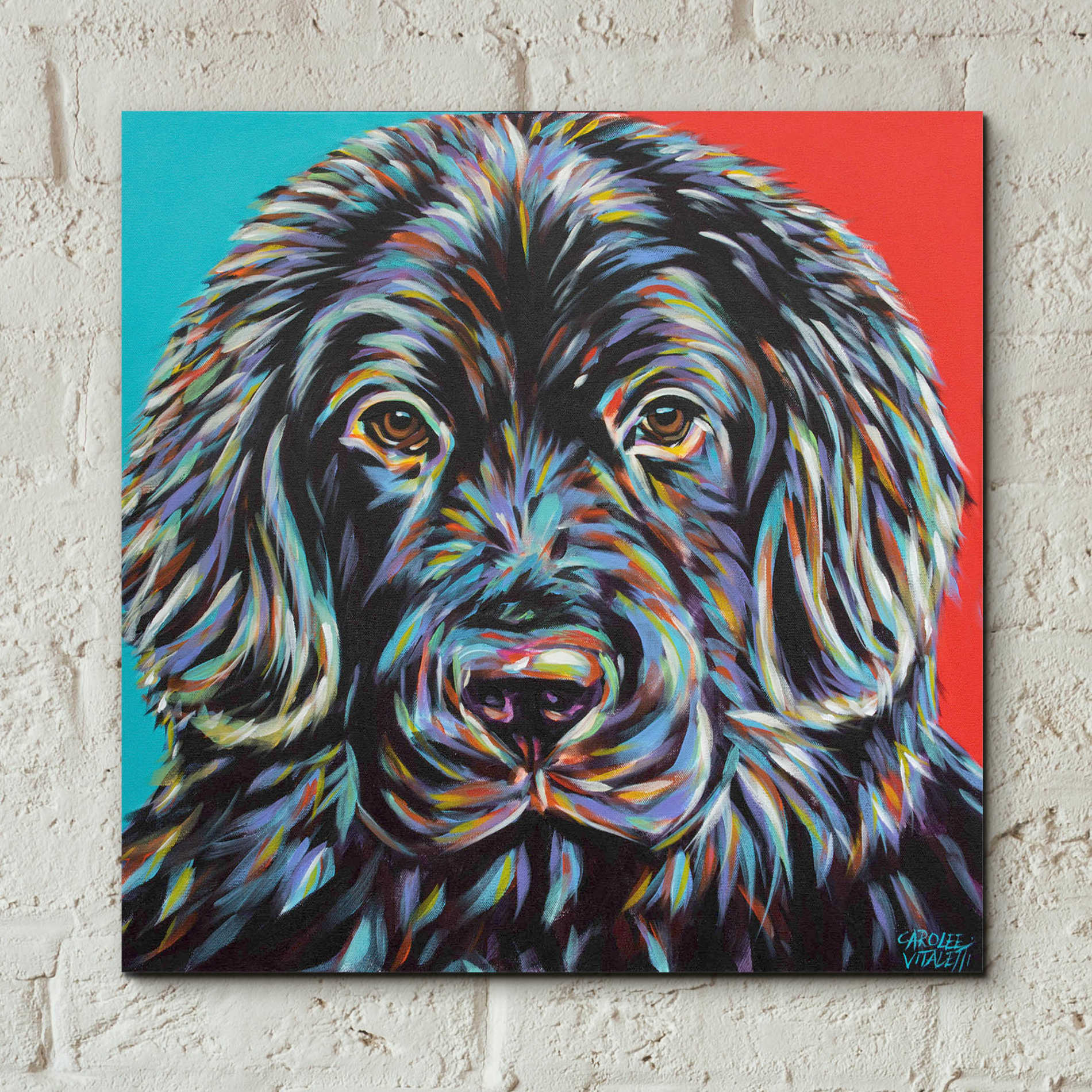Epic Art 'Canine Buddy I' by Carolee Vitaletti, Acrylic Glass Wall Art,12x12