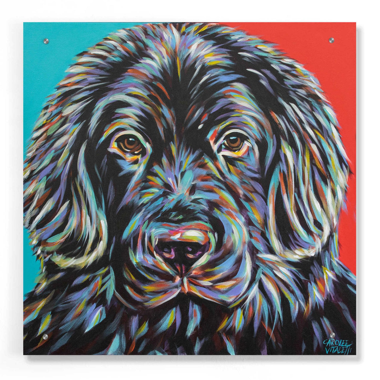 Epic Art 'Canine Buddy I' by Carolee Vitaletti, Acrylic Glass Wall Art,24x24