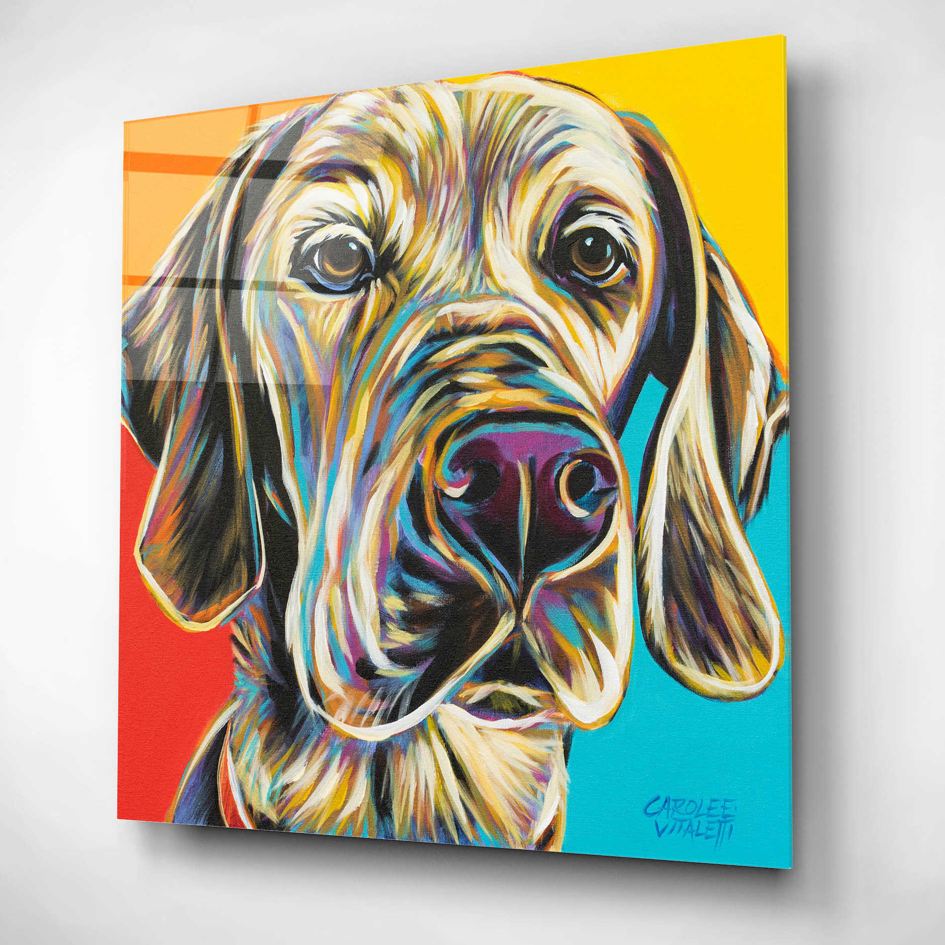 Epic Art 'Canine Buddy II' by Carolee Vitaletti, Acrylic Glass Wall Art,12x12