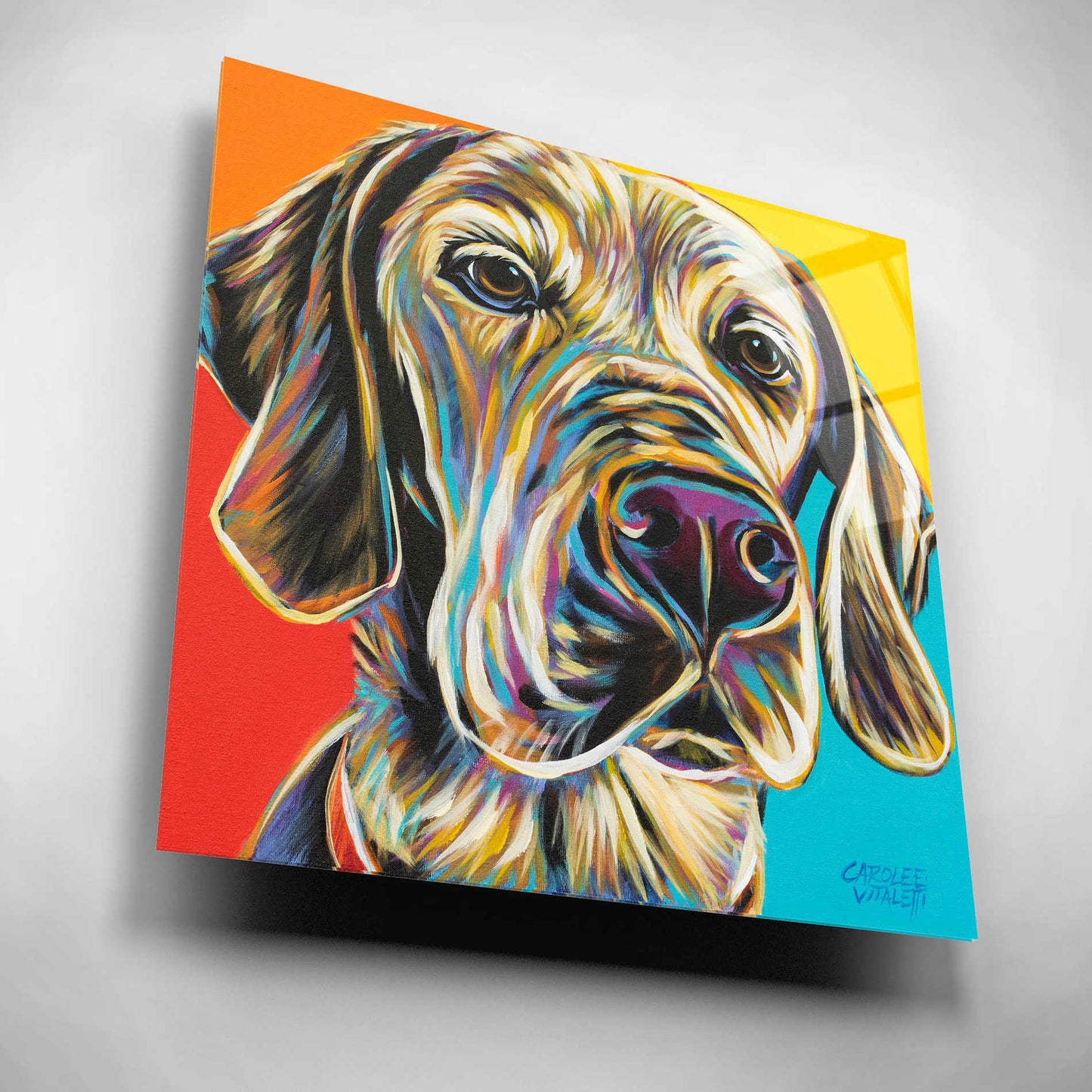Epic Art 'Canine Buddy II' by Carolee Vitaletti, Acrylic Glass Wall Art,12x12