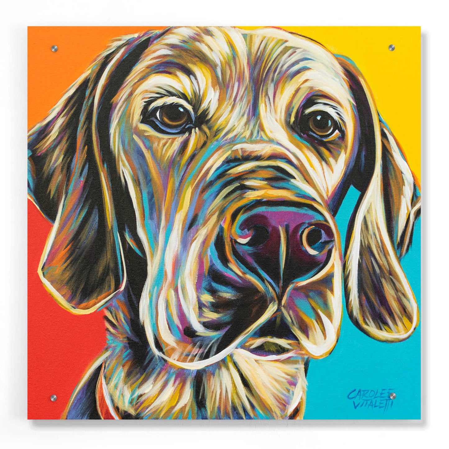 Epic Art 'Canine Buddy II' by Carolee Vitaletti, Acrylic Glass Wall Art,24x24