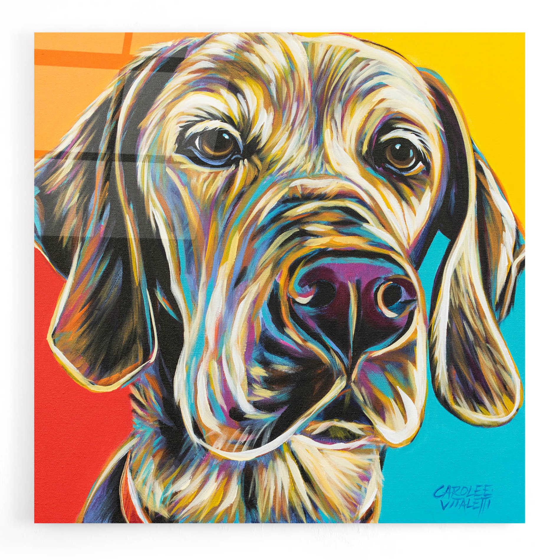 Epic Art 'Canine Buddy II' by Carolee Vitaletti, Acrylic Glass Wall Art