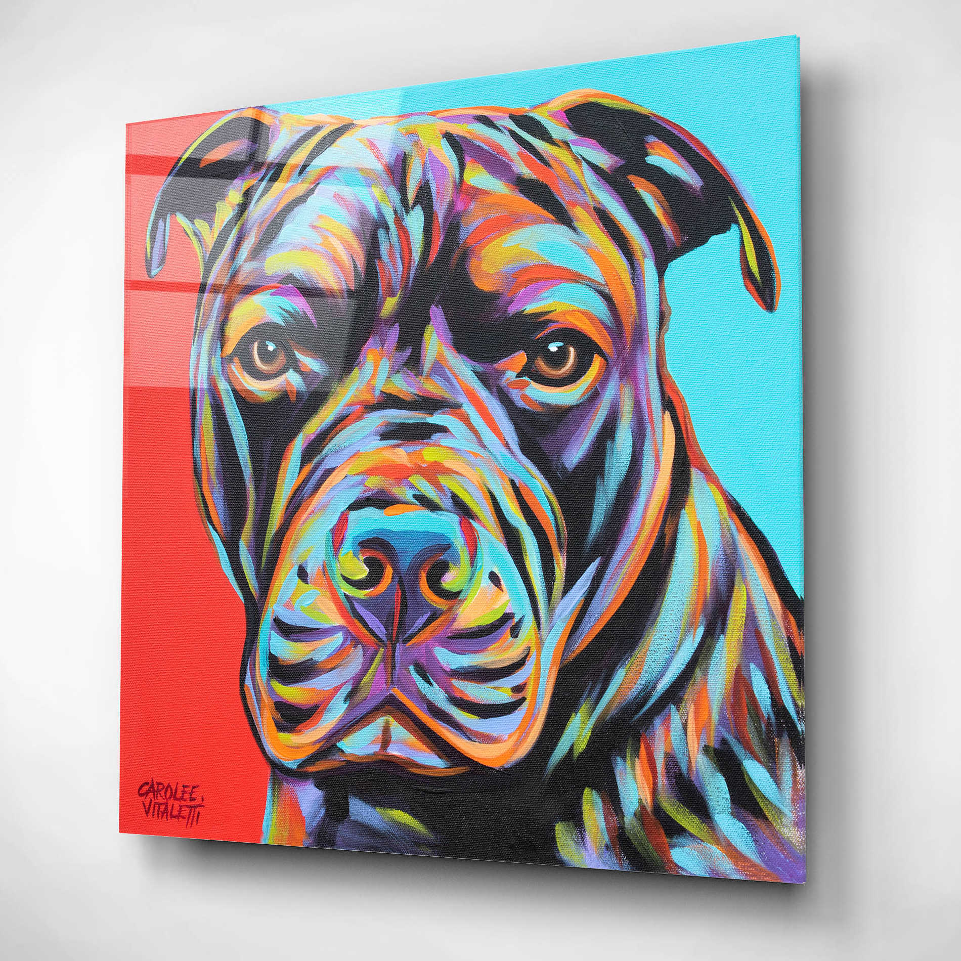 Epic Art 'Canine Buddy III' by Carolee Vitaletti, Acrylic Glass Wall Art,12x12