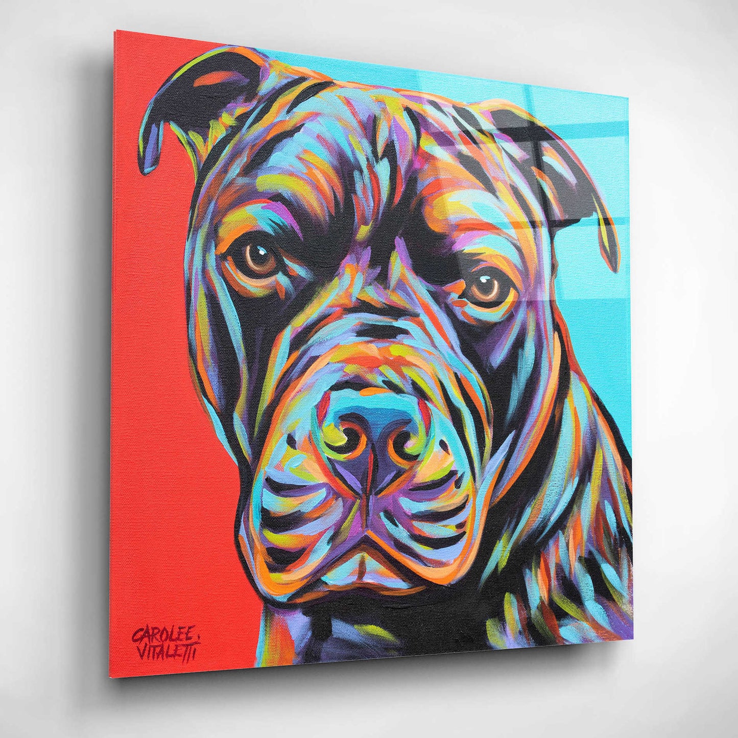 Epic Art 'Canine Buddy III' by Carolee Vitaletti, Acrylic Glass Wall Art,12x12