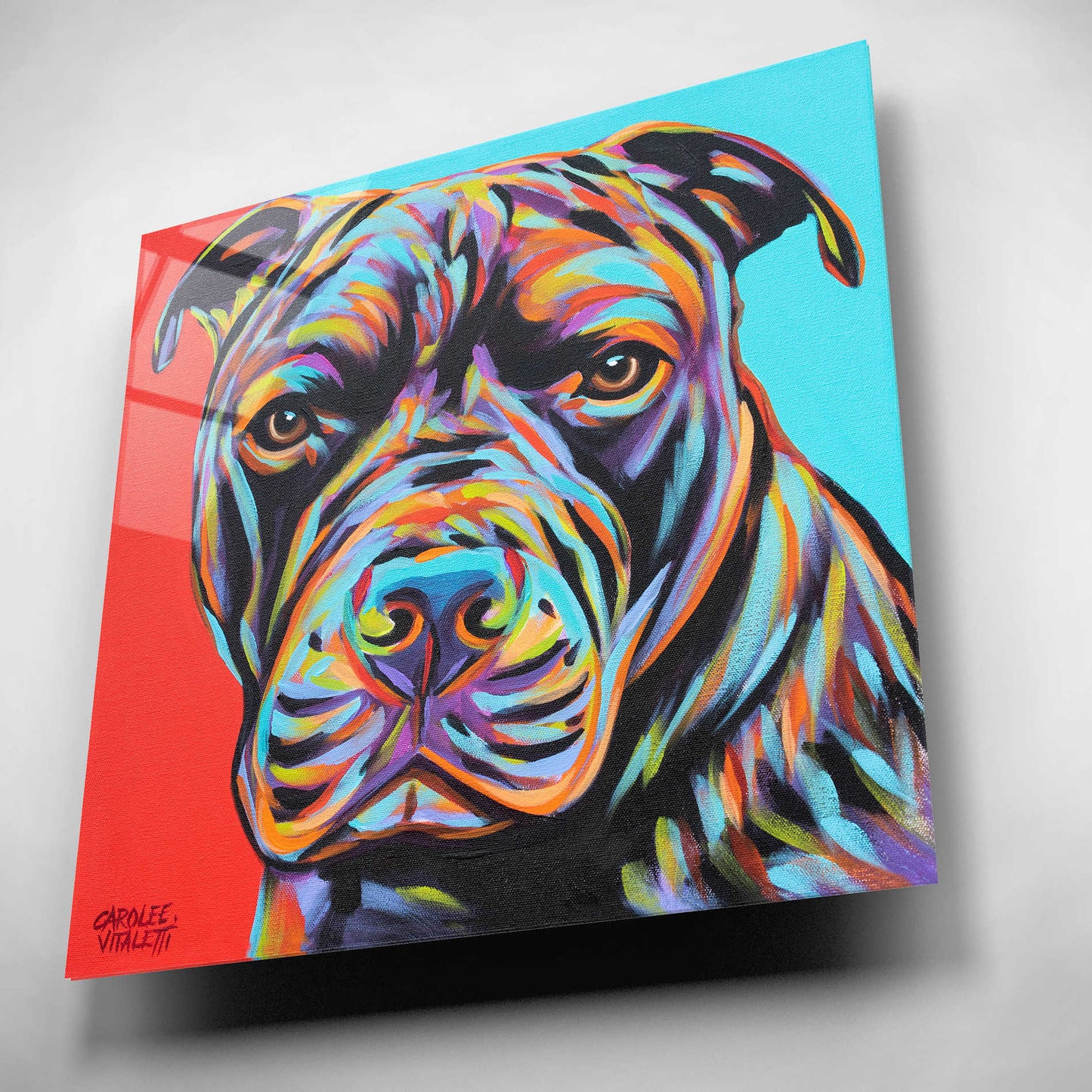 Epic Art 'Canine Buddy III' by Carolee Vitaletti, Acrylic Glass Wall Art,12x12