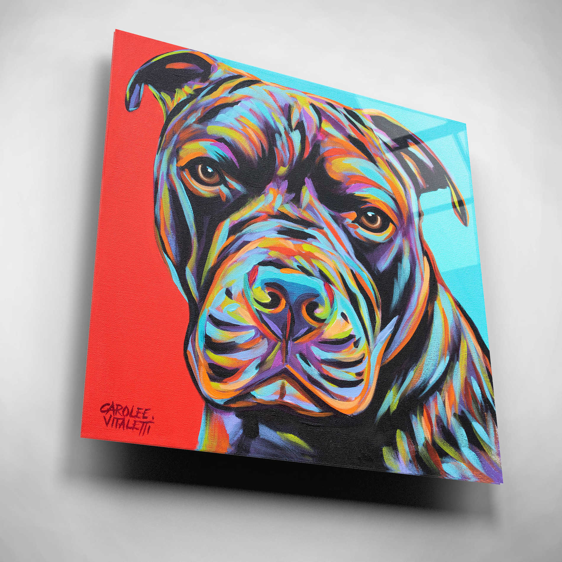 Epic Art 'Canine Buddy III' by Carolee Vitaletti, Acrylic Glass Wall Art,12x12