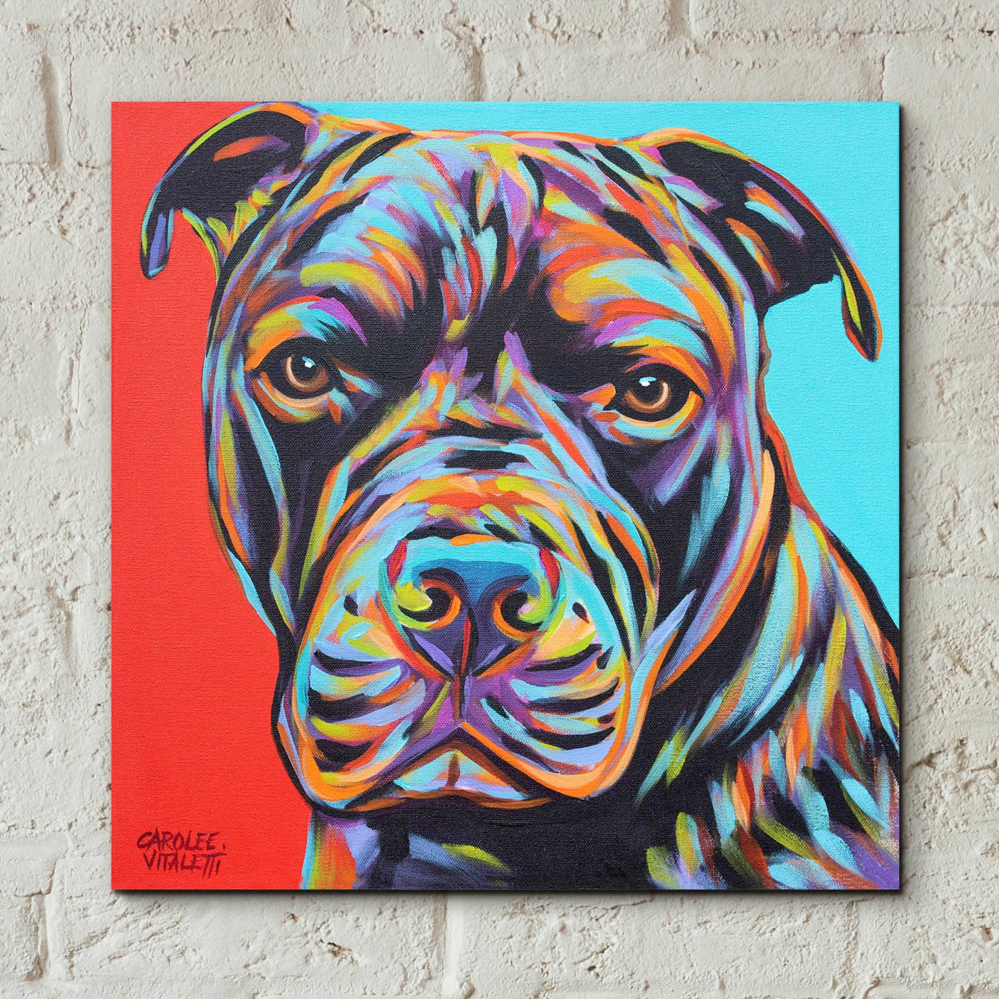 Epic Art 'Canine Buddy III' by Carolee Vitaletti, Acrylic Glass Wall Art,12x12