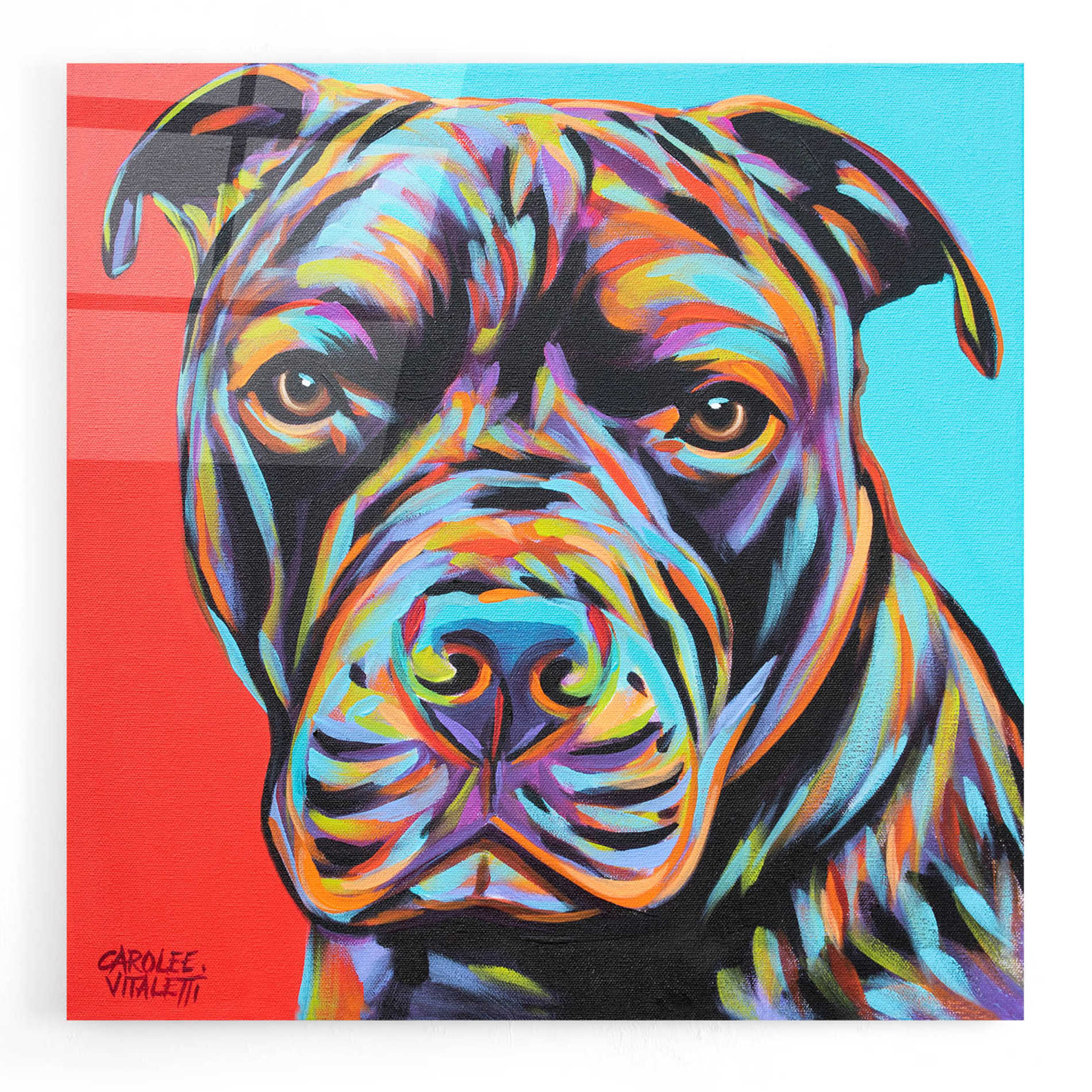 Epic Art 'Canine Buddy III' by Carolee Vitaletti, Acrylic Glass Wall Art,12x12