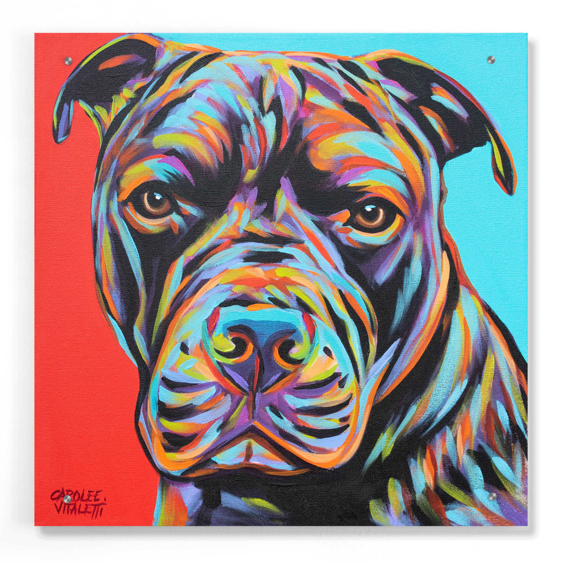 Epic Art 'Canine Buddy III' by Carolee Vitaletti, Acrylic Glass Wall Art,24x24