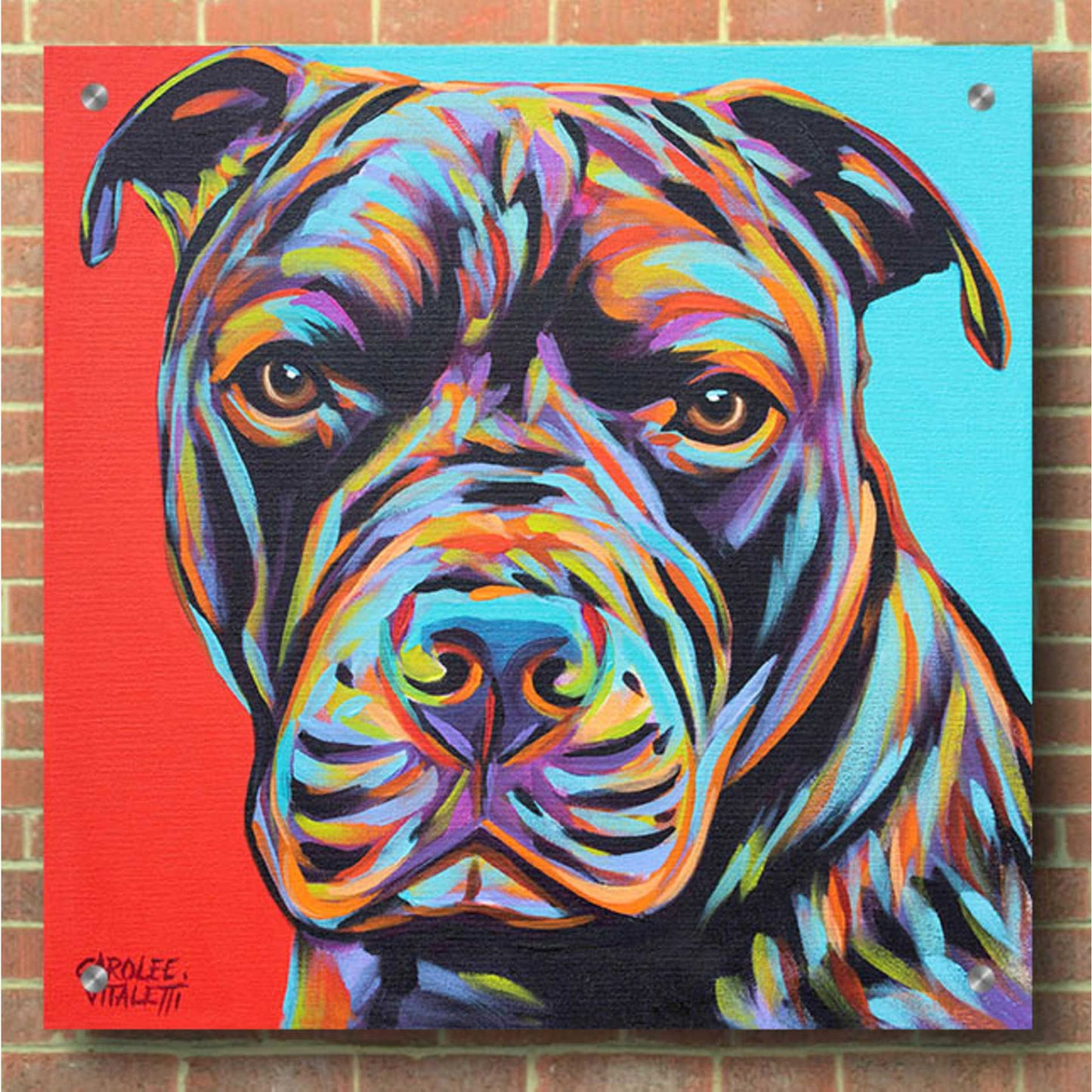 Epic Art 'Canine Buddy III' by Carolee Vitaletti, Acrylic Glass Wall Art,36x36
