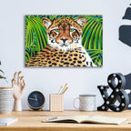 Epic Art 'Grey Wolf II' by Carolee Vitaletti, Acrylic Glass Wall Art,16x12